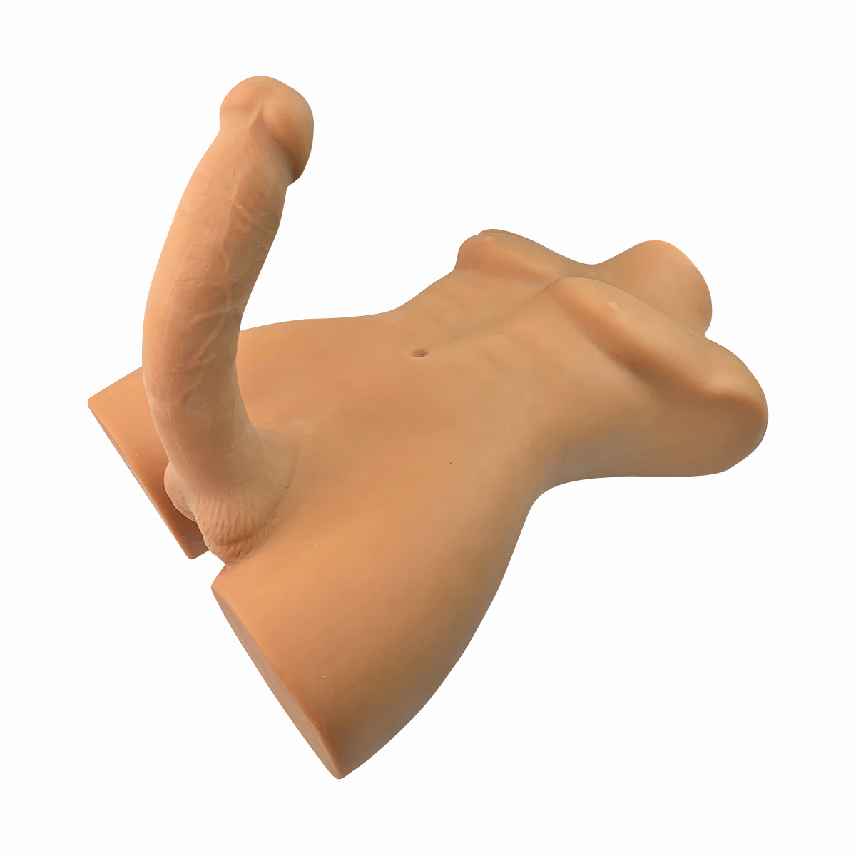 Torso Sexual Masculino Willy