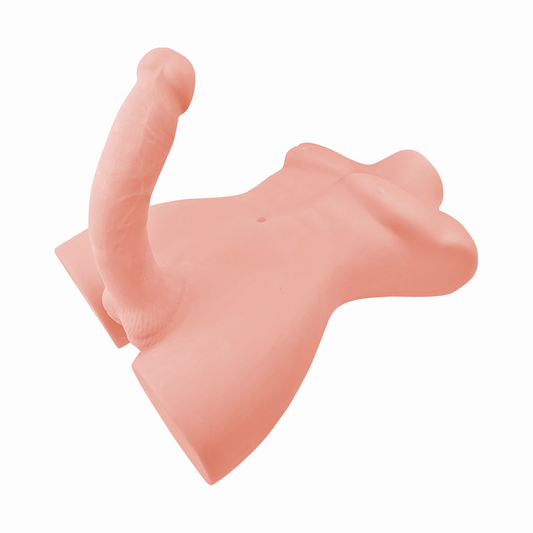 Torso Sexual Masculino Willy