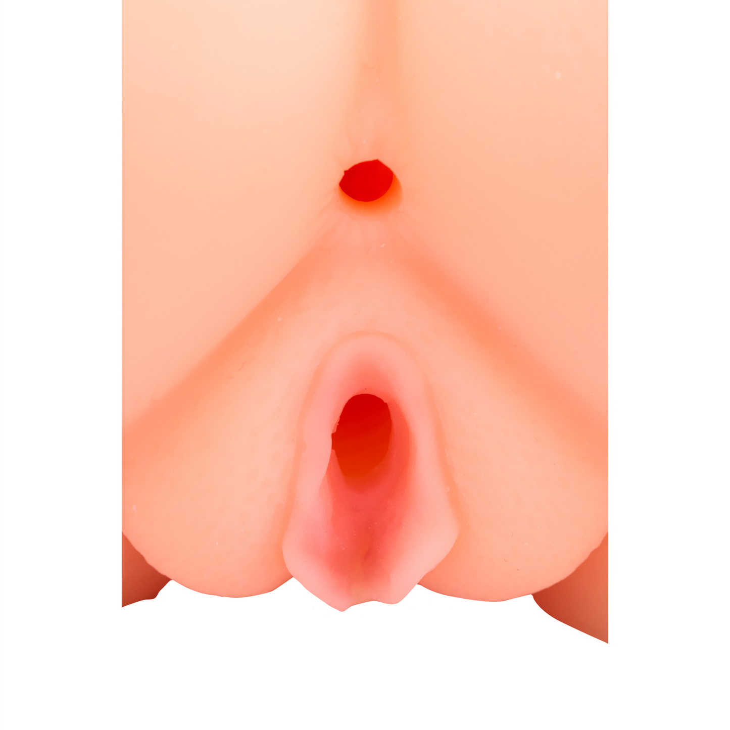 Torso Femenino Aurora